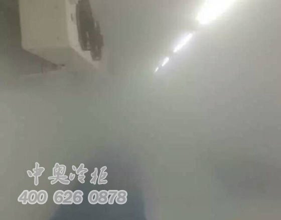 中奧冷柜廠(chǎng)家雪糕冷凍庫(kù)4